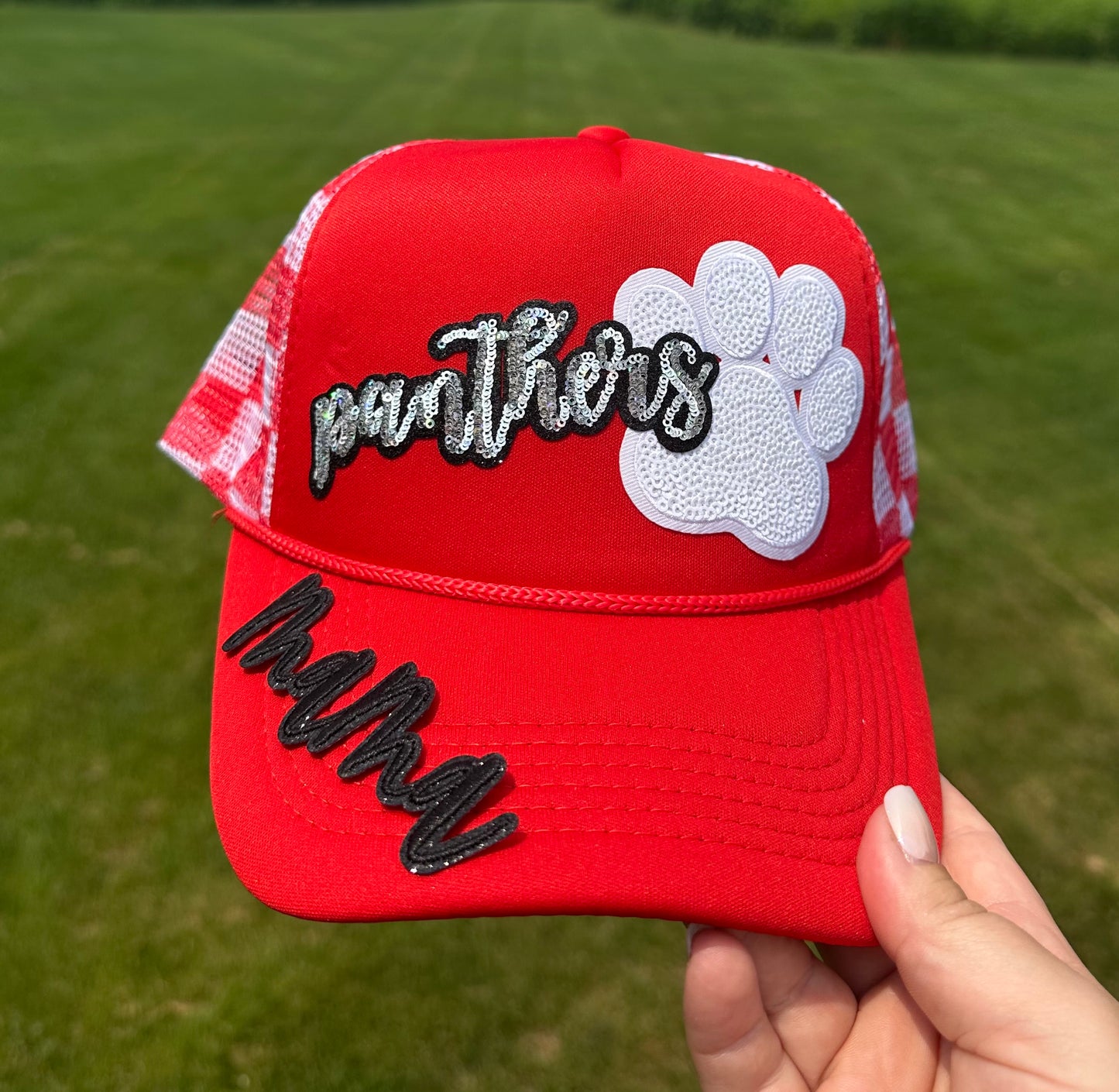 Panthers Hat